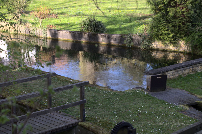 wasserspiegelung