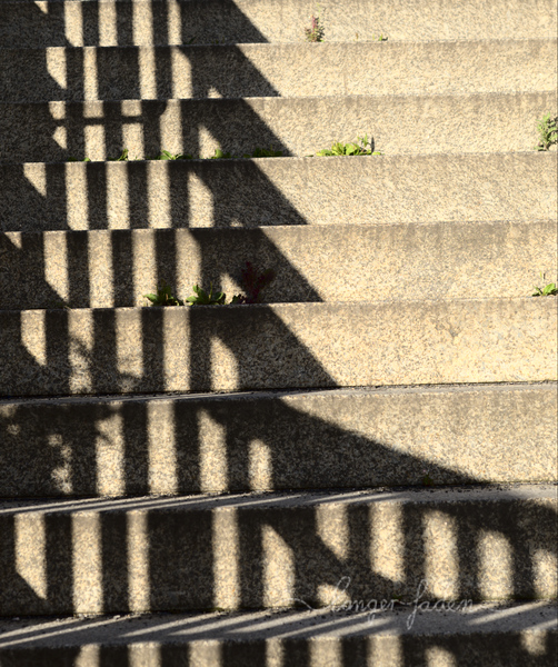 schatten auf treppe