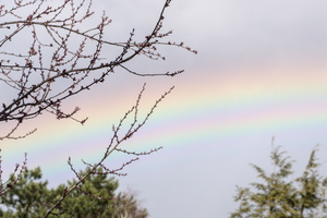 Regenbogen