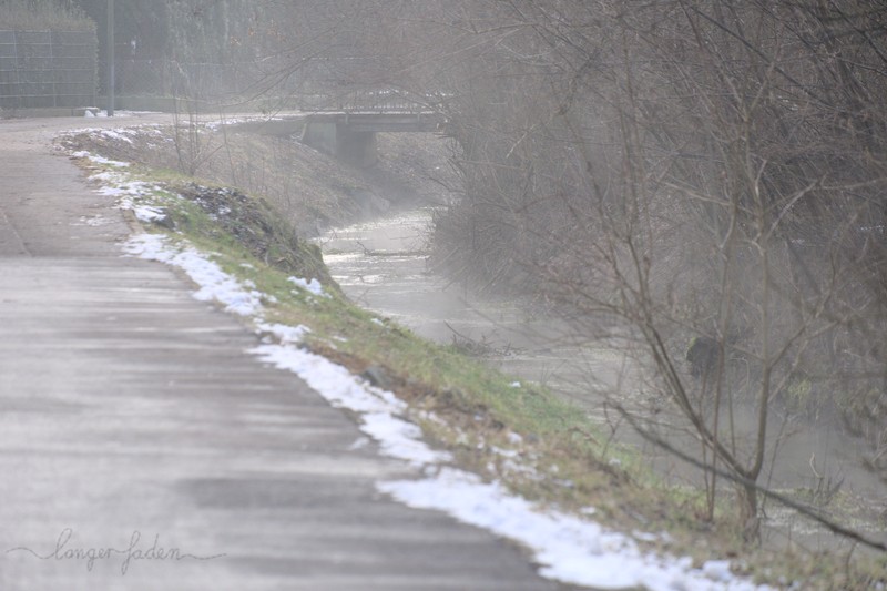 Nebelschwaden am kleinen Ascherbach