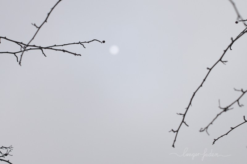 Sonne im Nebel