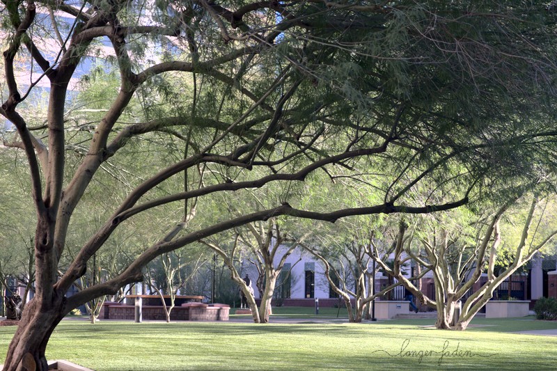phoenix - park