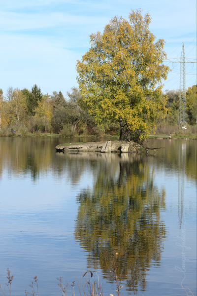 boehmer weiher 