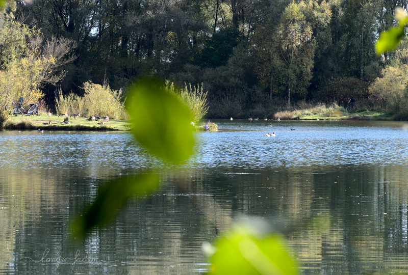 boehmer weiher