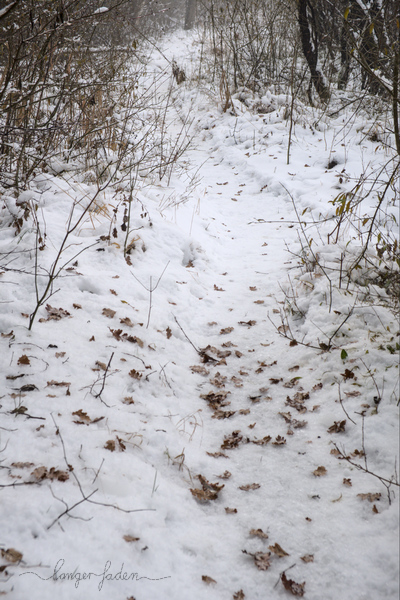 trampelpfad im schnee